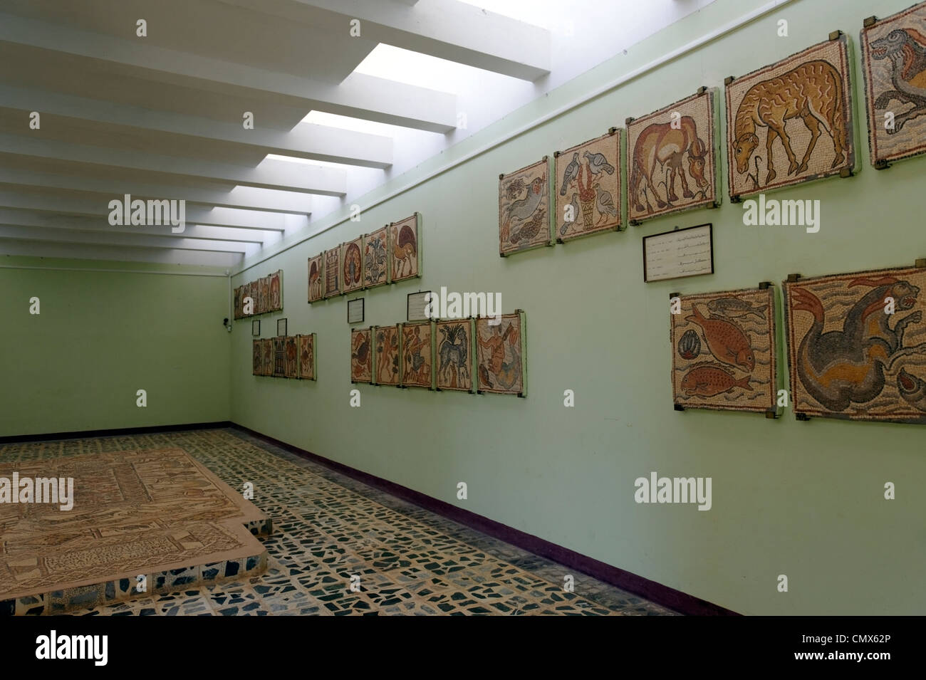 Vista interior del museo de la extraordinaria colección de mosaicos que se encontraron en la Iglesia Oriental. Foto de stock