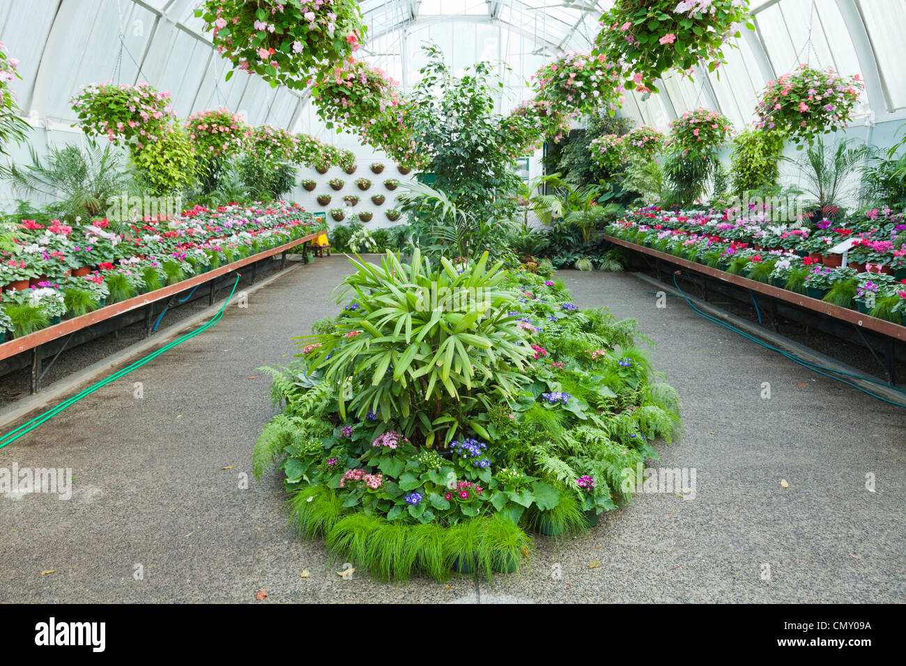 Visualización de las plantas en el invernadero en Hagley Park, Christchurch, Nueva Zelanda. Foto de stock