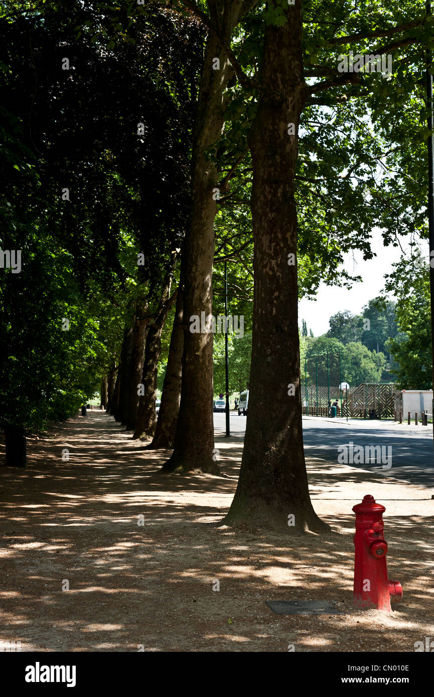 Un árbol esbozado sendero cerca del Atomium. Foto de stock