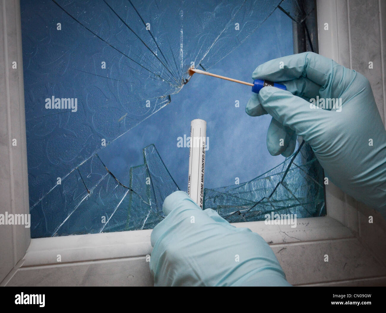 Un investigador de la escena del crimen (CSI) con bastoncillos de sangre en una escena del crimen izquierdo Foto de stock