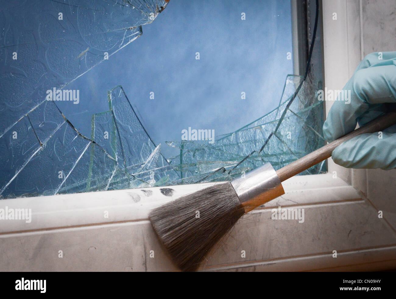 Investigador de la escena del crimen un rastro digital que habían roto una ventana Foto de stock