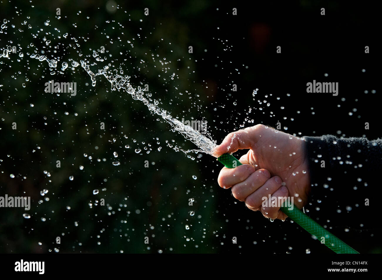 Rociado de agua a mano con manguera contra un fondo oscuro Foto de stock
