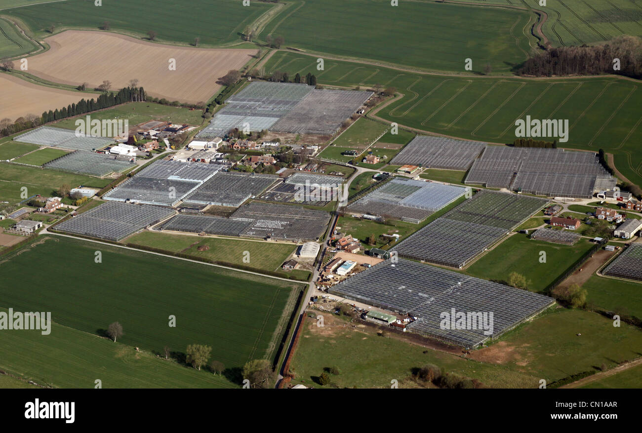 Vista aérea de hectáreas de invernaderos comerciales Foto de stock