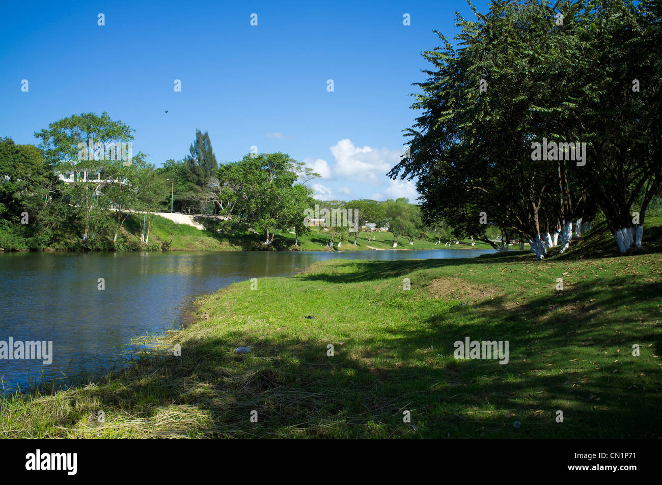 El Mopan río que fluye más allá de la ciudad de San Ignacio en el distrito de Cayo de Belice Foto de stock