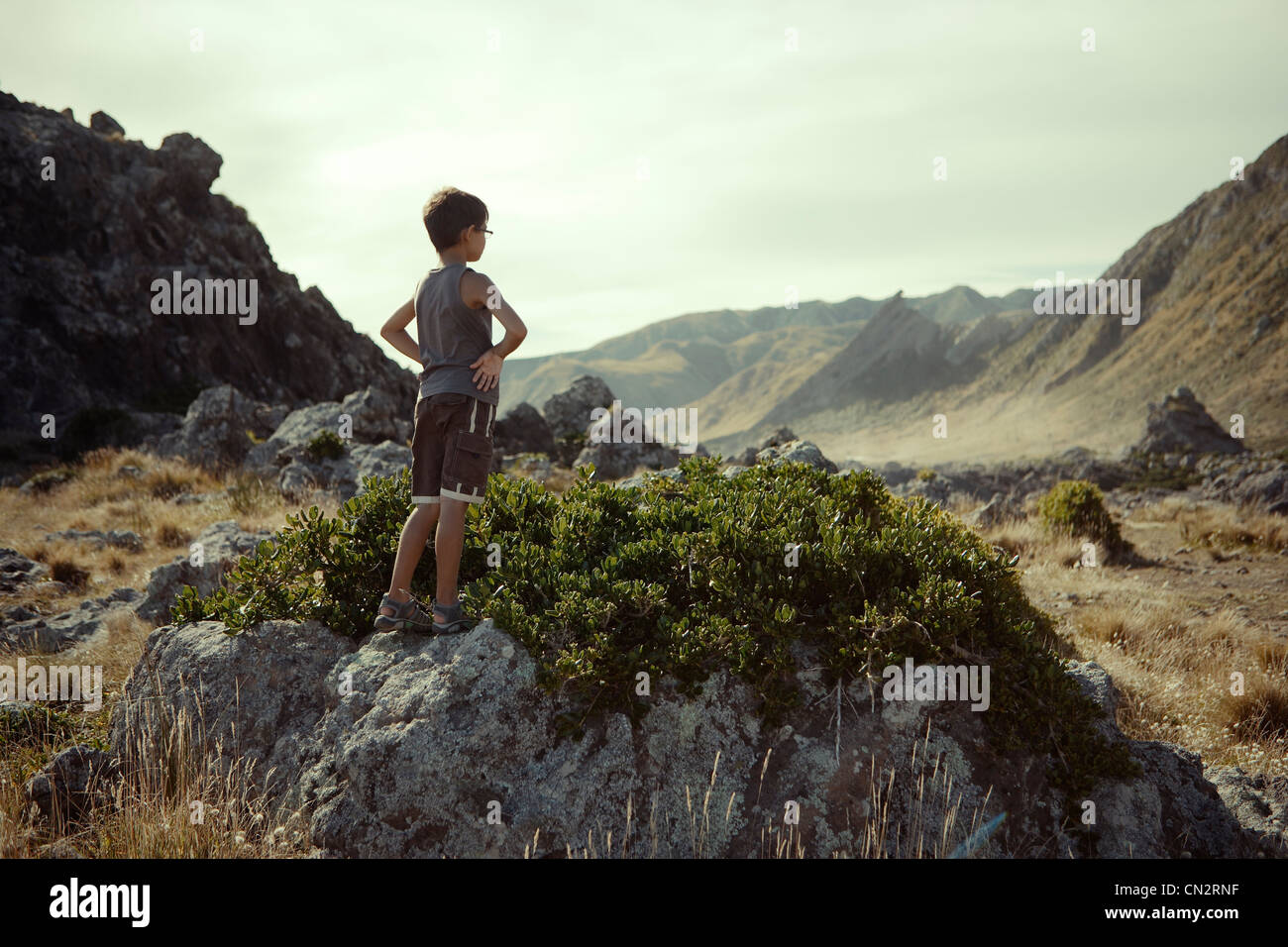 Boy opiniones paisaje, Cape Palliser, Nueva Zelanda. Foto de stock