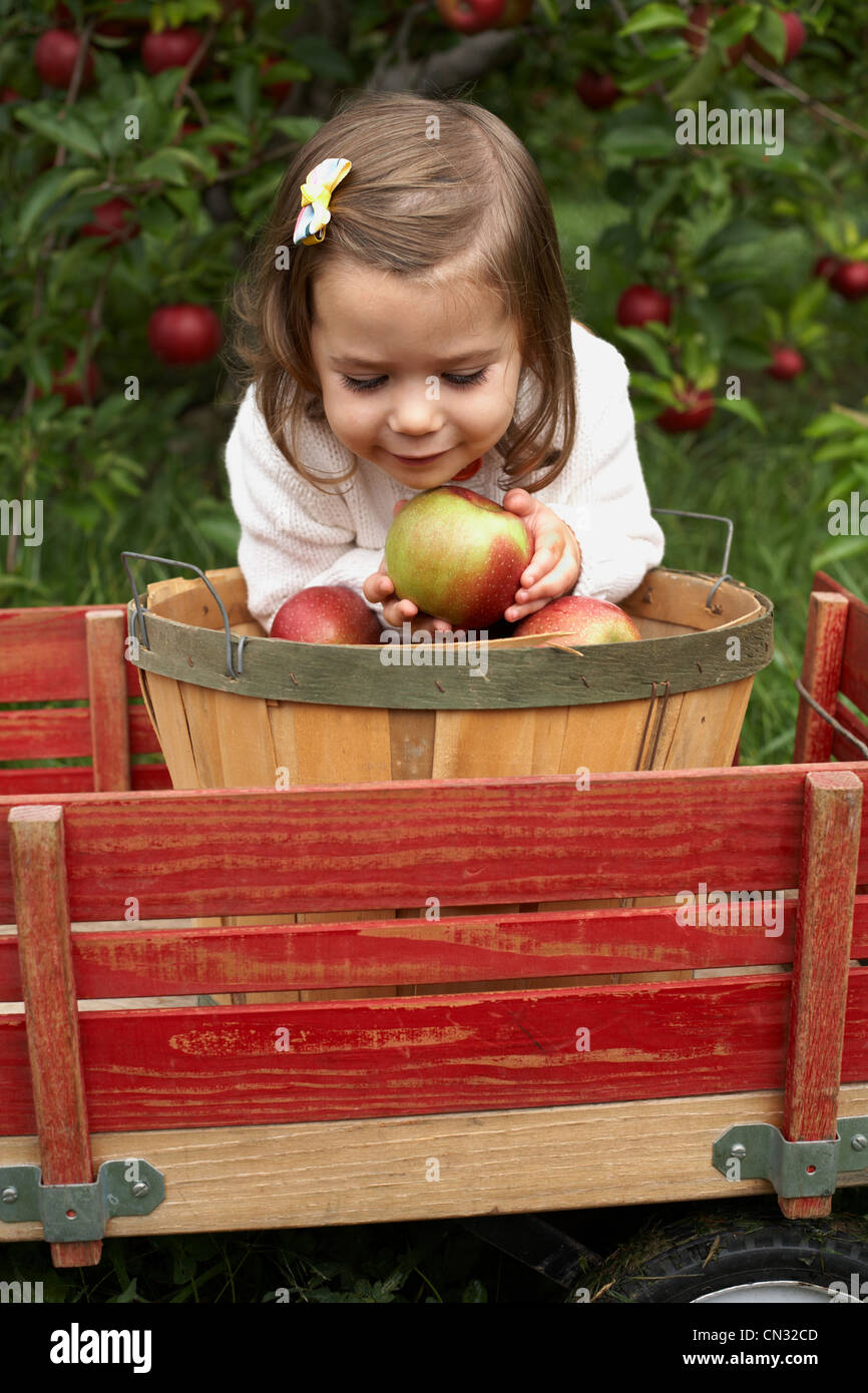 Chica sentada en carro de madera celebración apple Foto de stock