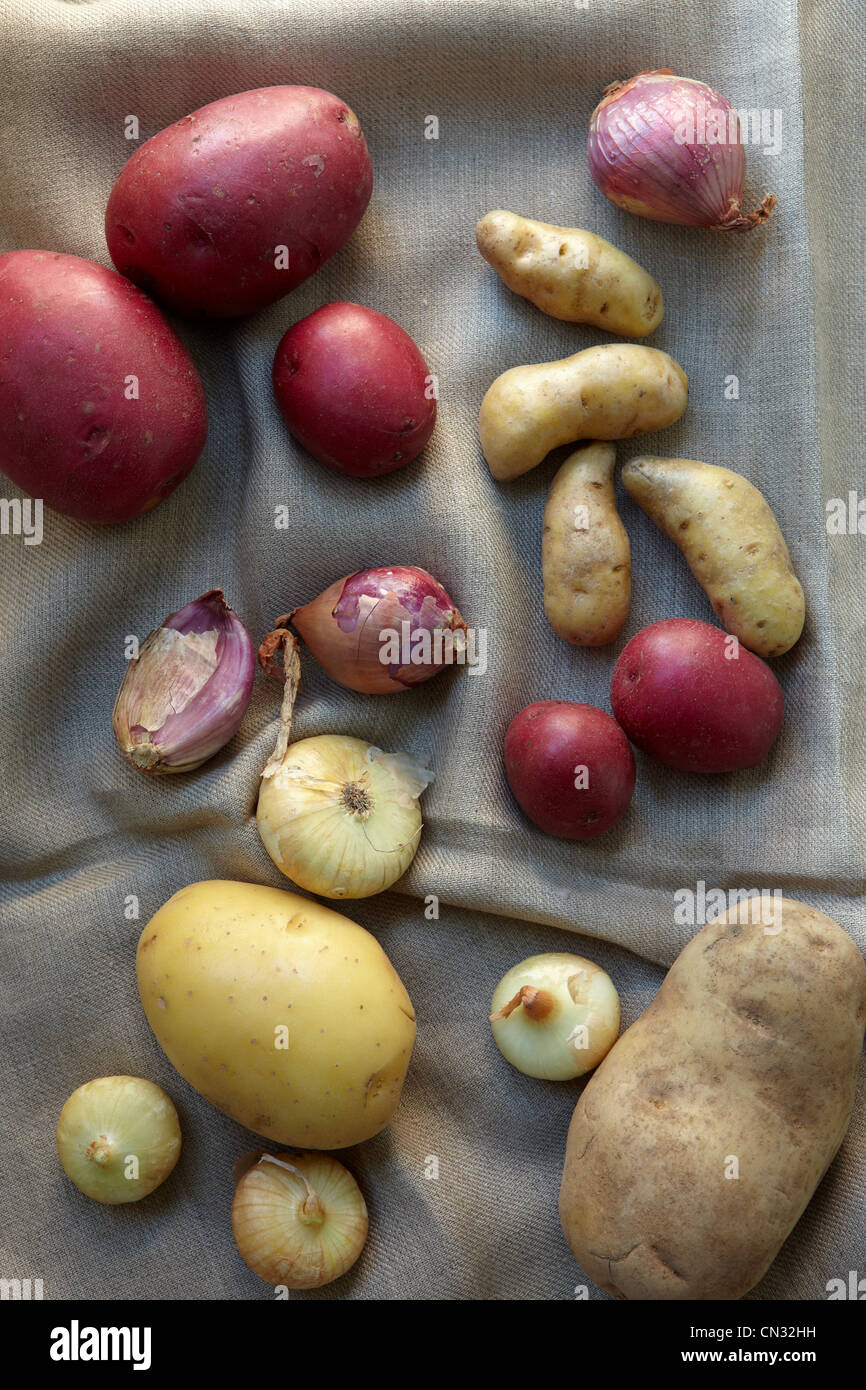 Las patatas, cebollas, chalotes y bodegones Foto de stock