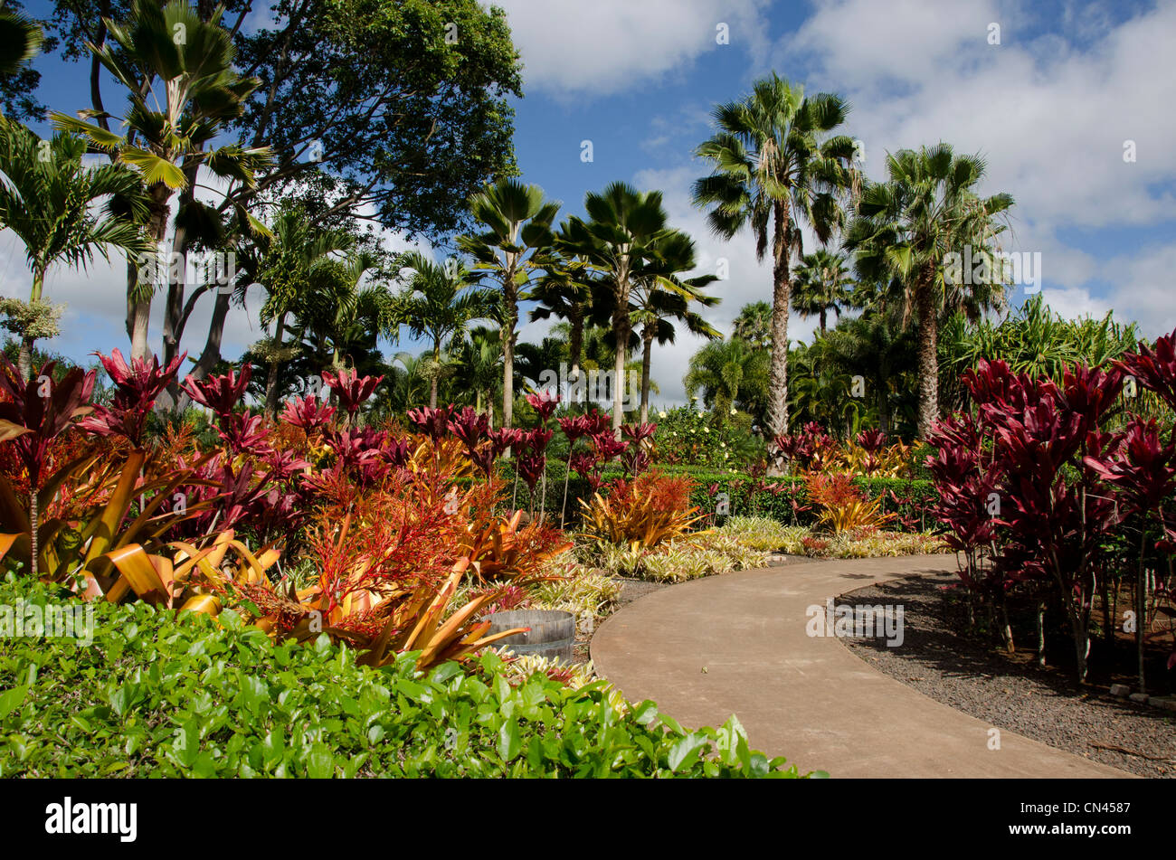 La plantación en el recorrido por los jardines de Dole Plantation en Wahiawa, Oahu, Hawaii Foto de stock