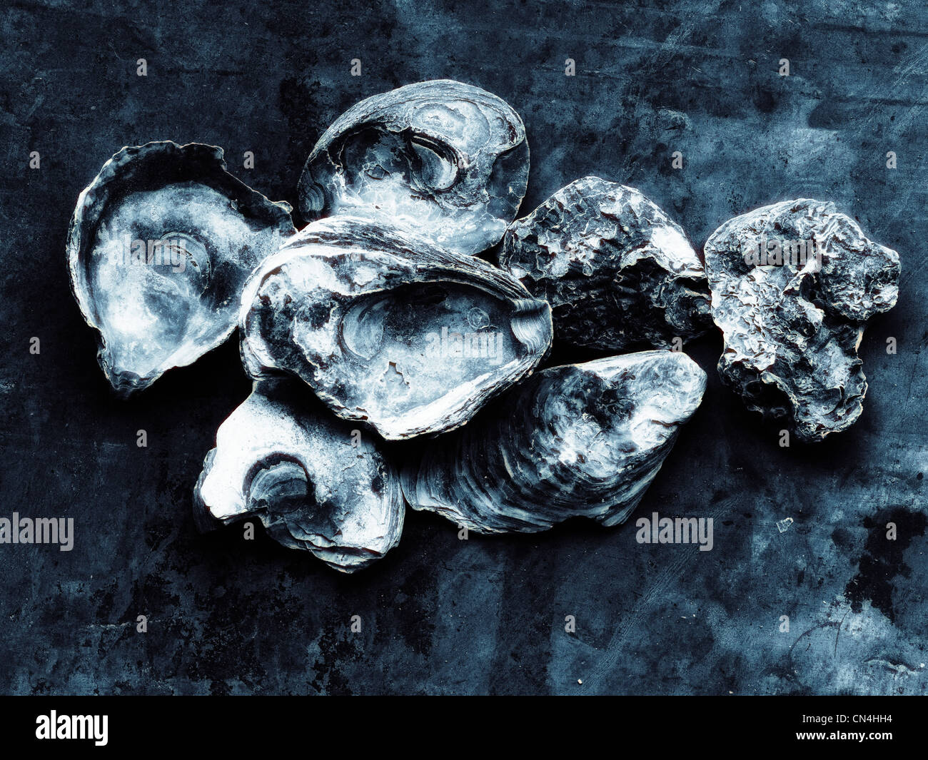 Montón de conchas de ostra vacía Foto de stock