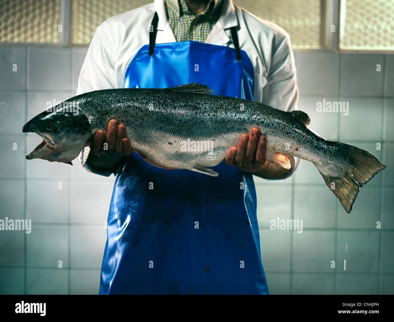 Pescadería, sosteniendo un salmón Foto de stock