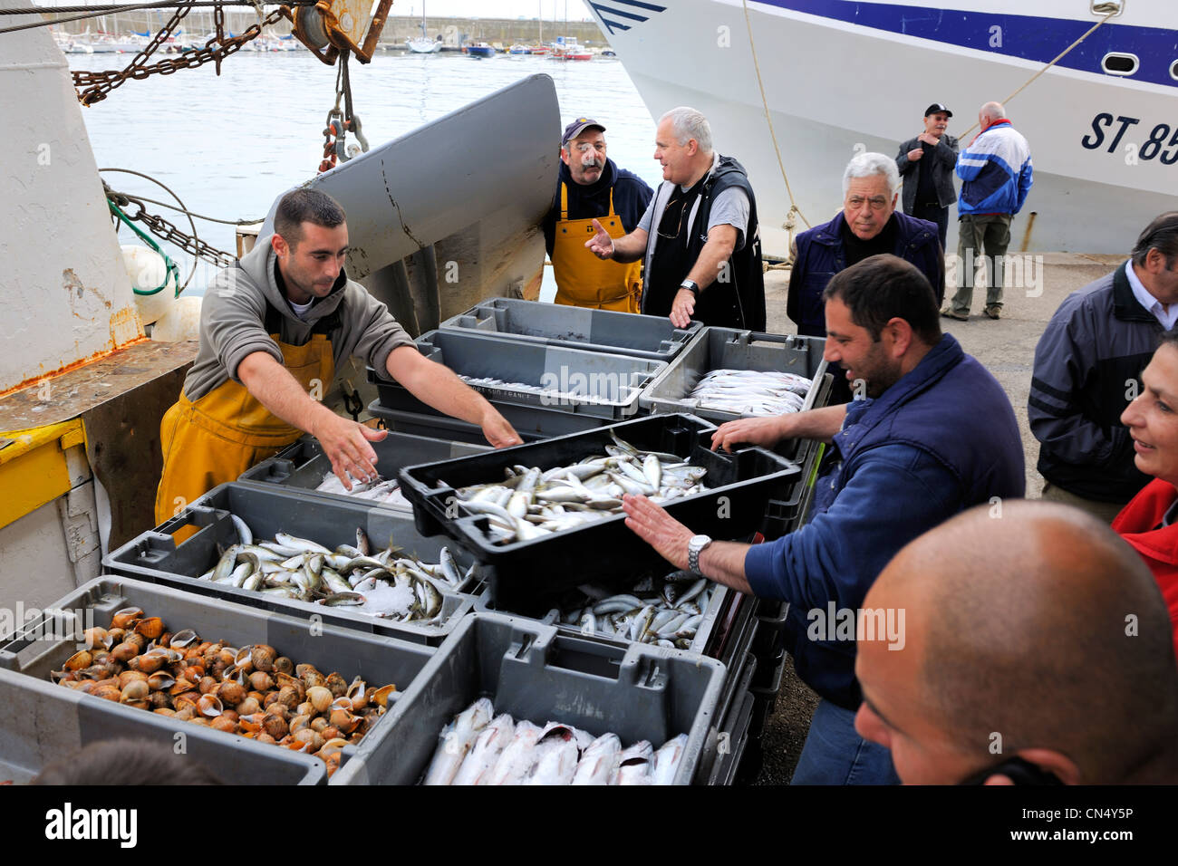 Francia, Herault, Sete, el mercado de subasta de pescado, el desembarco de pesca Foto de stock