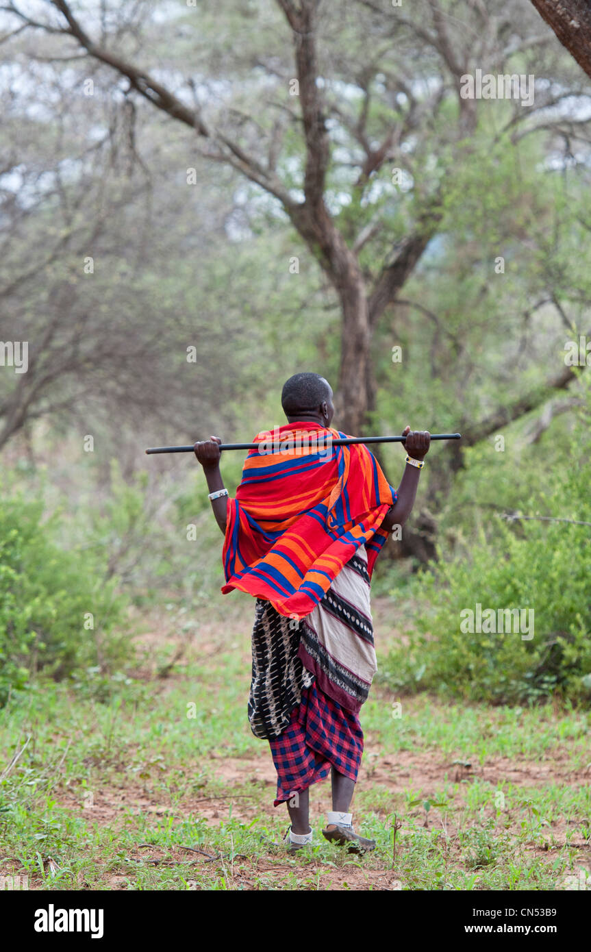 Tanzania, Arusha, región, país, Volcán Longido Maasai, senderismo con guía de los Maasai Salonga Foto de stock