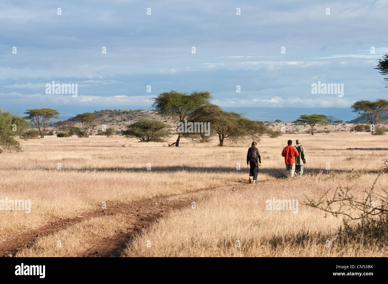Región de Arusha, Tanzania, país reserva Ndarakwai Maasai, en la parte inferior del Monte Kilimanjaro, safari a pie con una organización armada Foto de stock