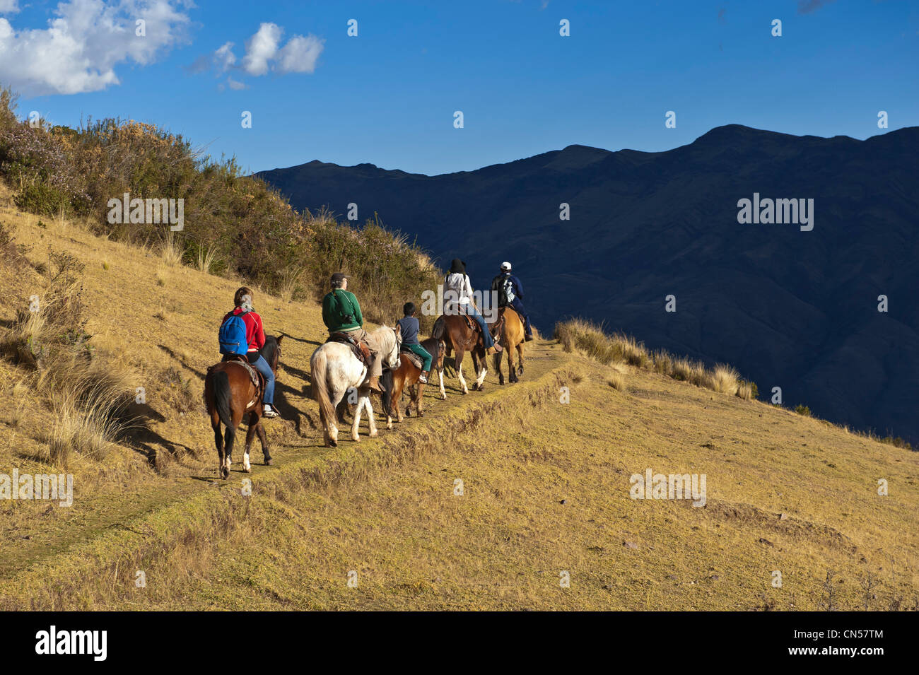 Perú, provincia de Cuzco, Huasao, trekking a caballo en los Andes Foto de stock