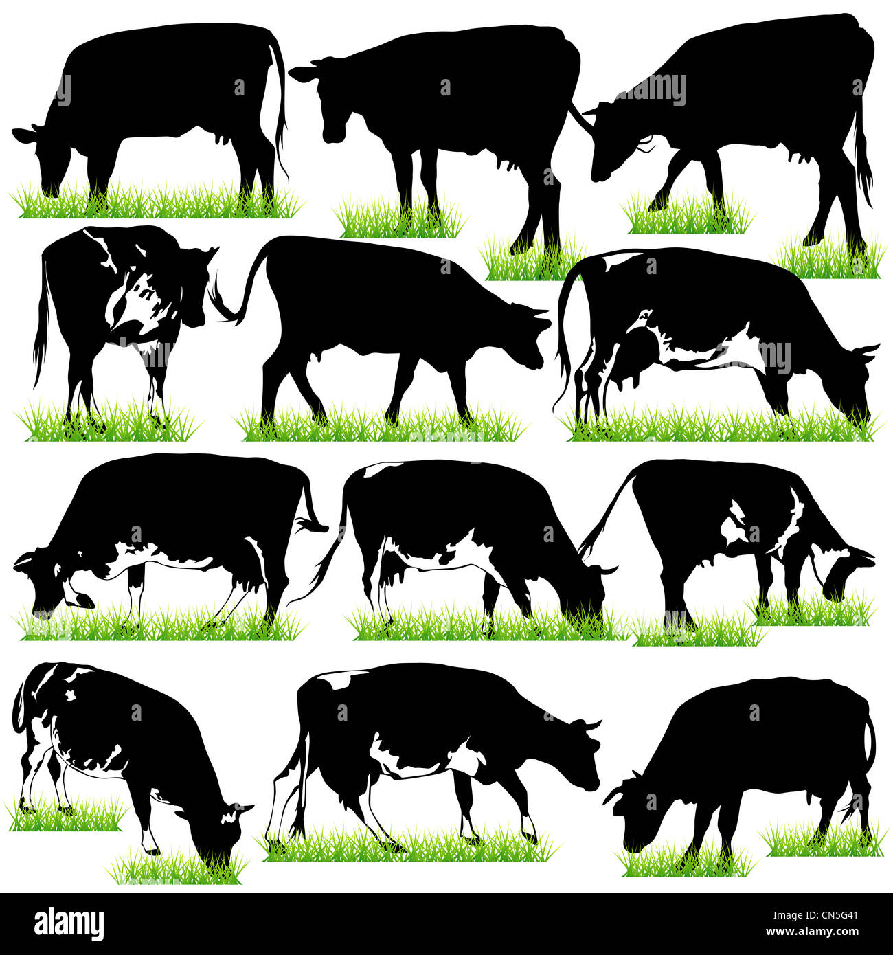 Vacas detallado conjunto de siluetas Foto de stock