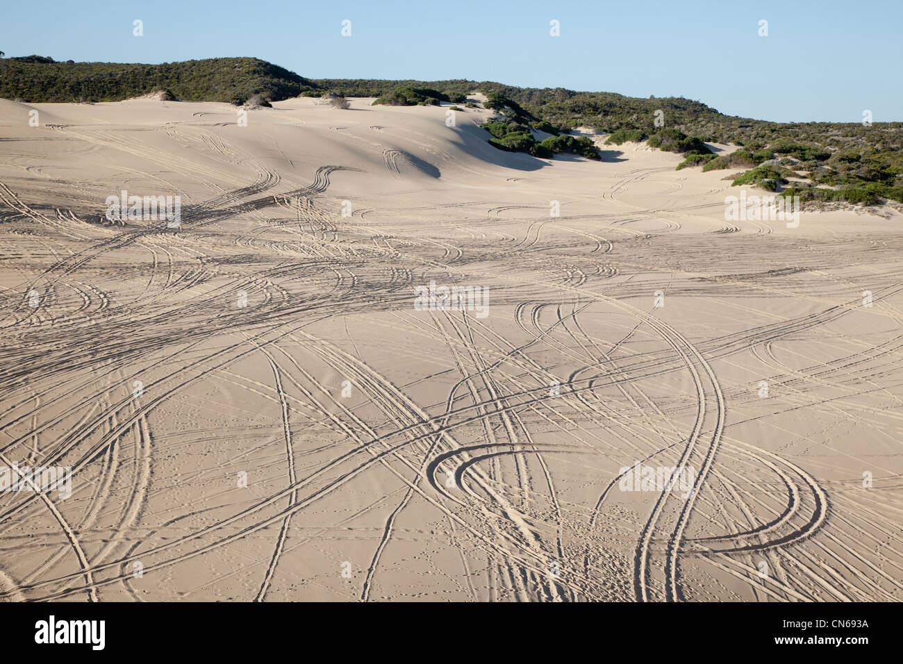 Marcas de neumáticos a lo largo de la arena de la península Eyre, Australia del Sur Foto de stock