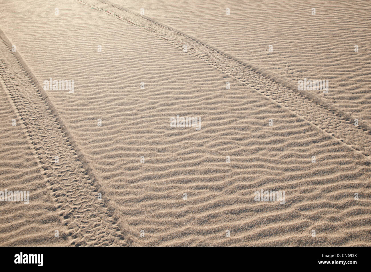 Marcas de neumáticos a lo largo de la arena de la península Eyre, Australia del Sur Foto de stock