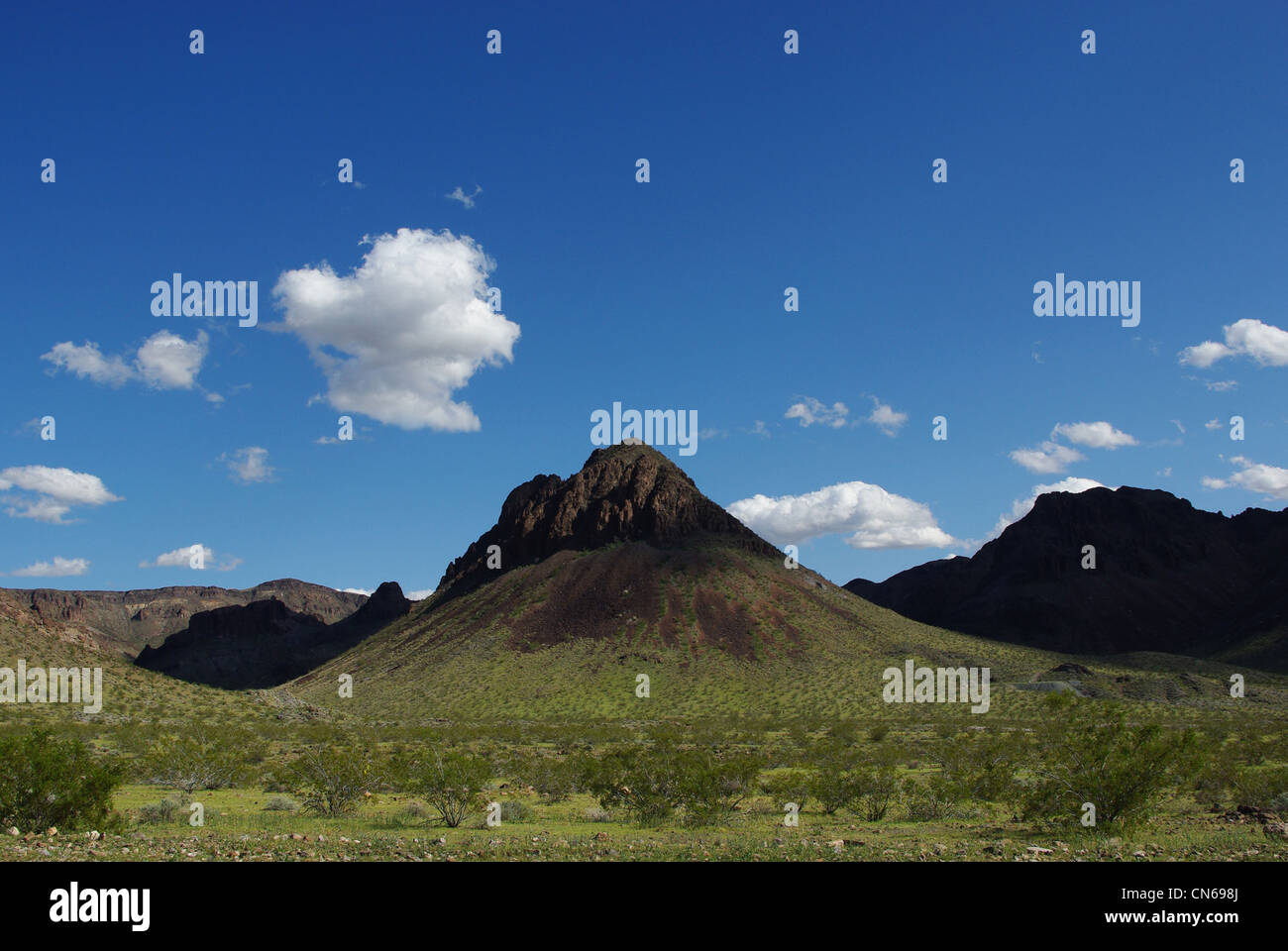 Hierba del desierto fotografías e imágenes de alta resolución Alamy