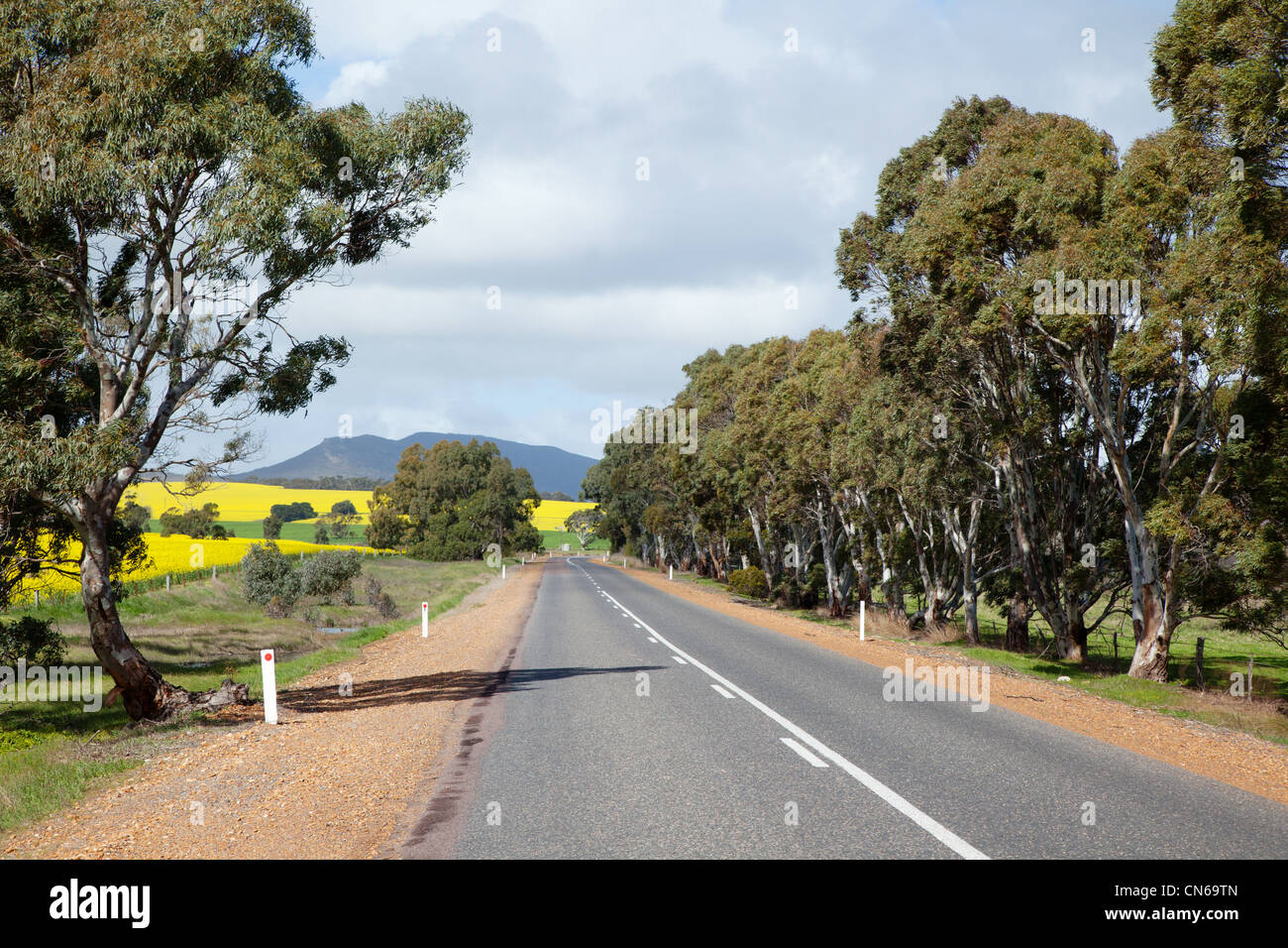 Carretera de la península Eyre, Australia del Sur Foto de stock