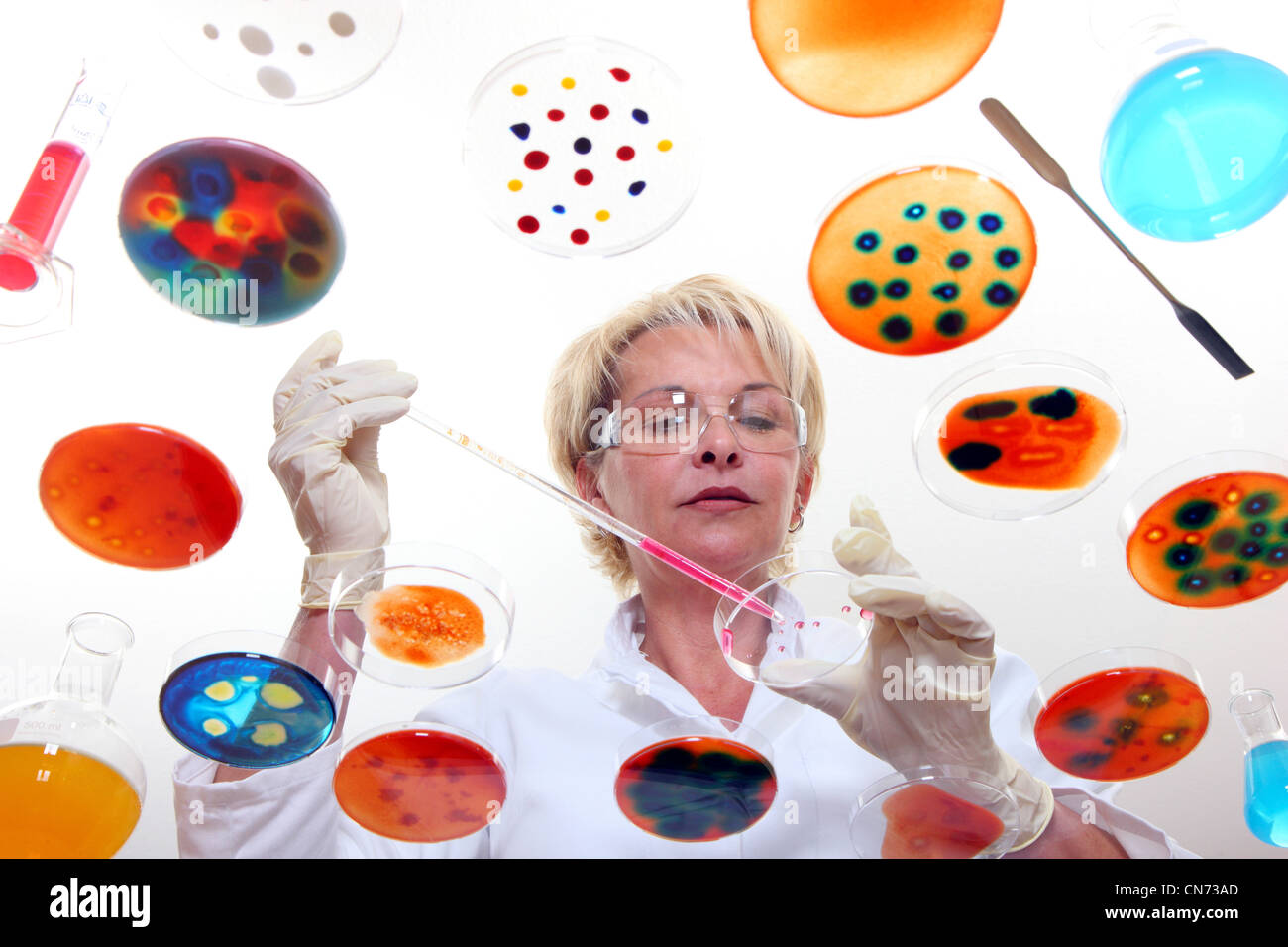 Técnico de laboratorio trabajando en el laboratorio con cultivos de bacterias en placas de Petri. Visto a través de una mesa de vidrio. Foto de stock
