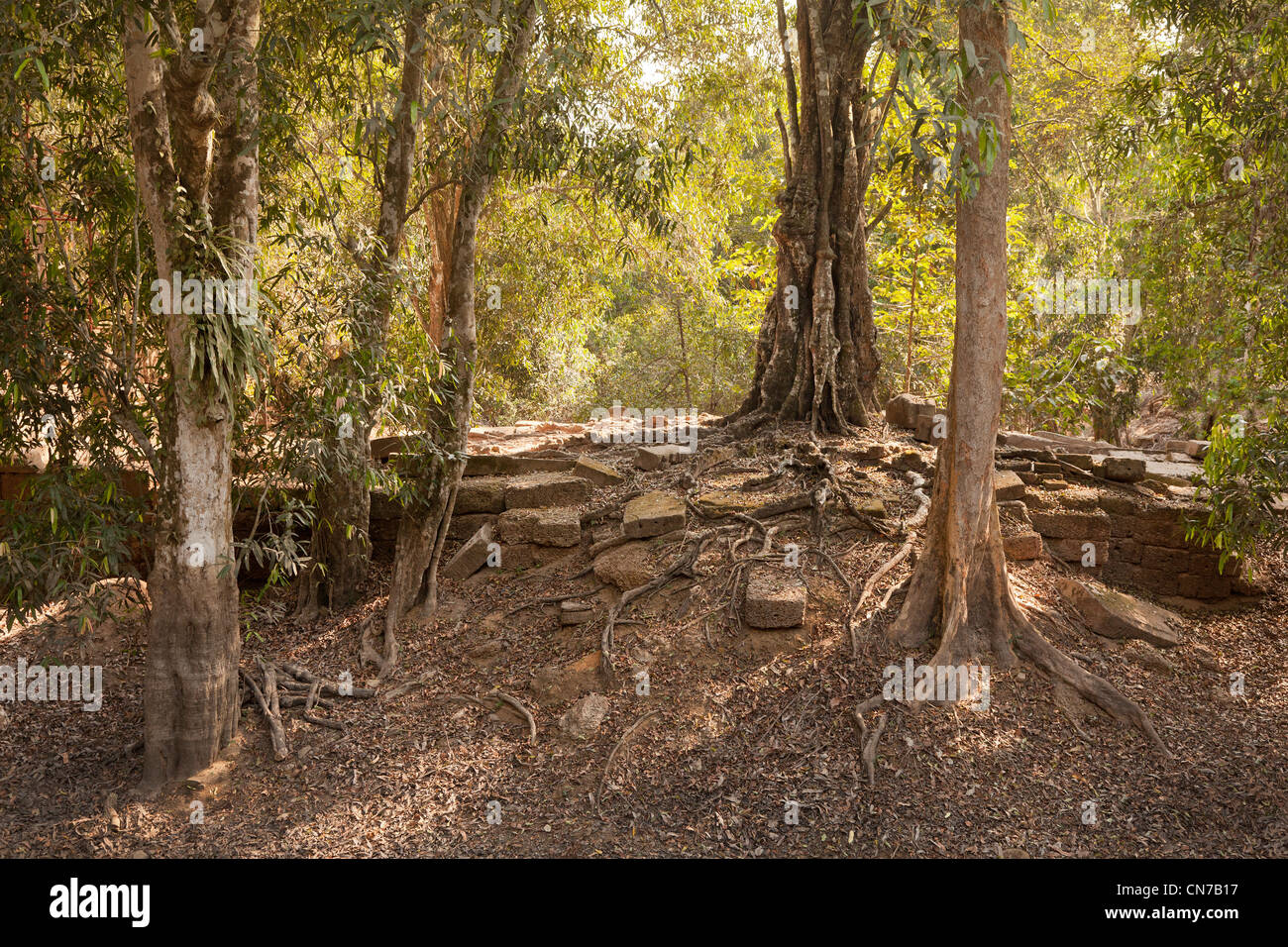 Camboya Angkor Wat, márgenes de bosque seco y polvoriento con tierra suelta y piedras de construcción Foto de stock