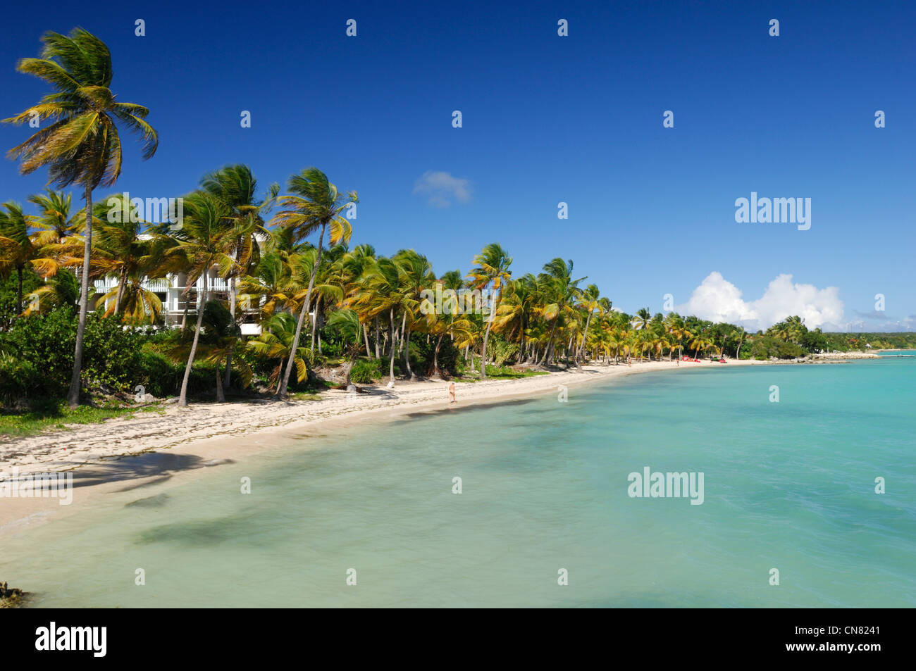 Francia, Guadalupe (Antillas Francesas), Grande Terre, Saint Francois, Plage du Lagon (Laguna Beach) Foto de stock