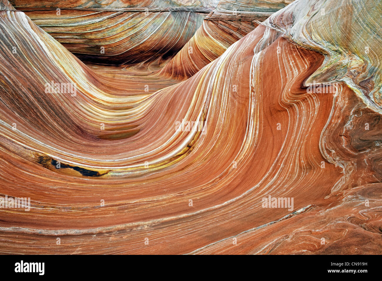 Colores espectaculares de arenisca en patrones ondulados en la ola en el norte de Arizona Coyote Buttes y acantilados Vermillion. Foto de stock