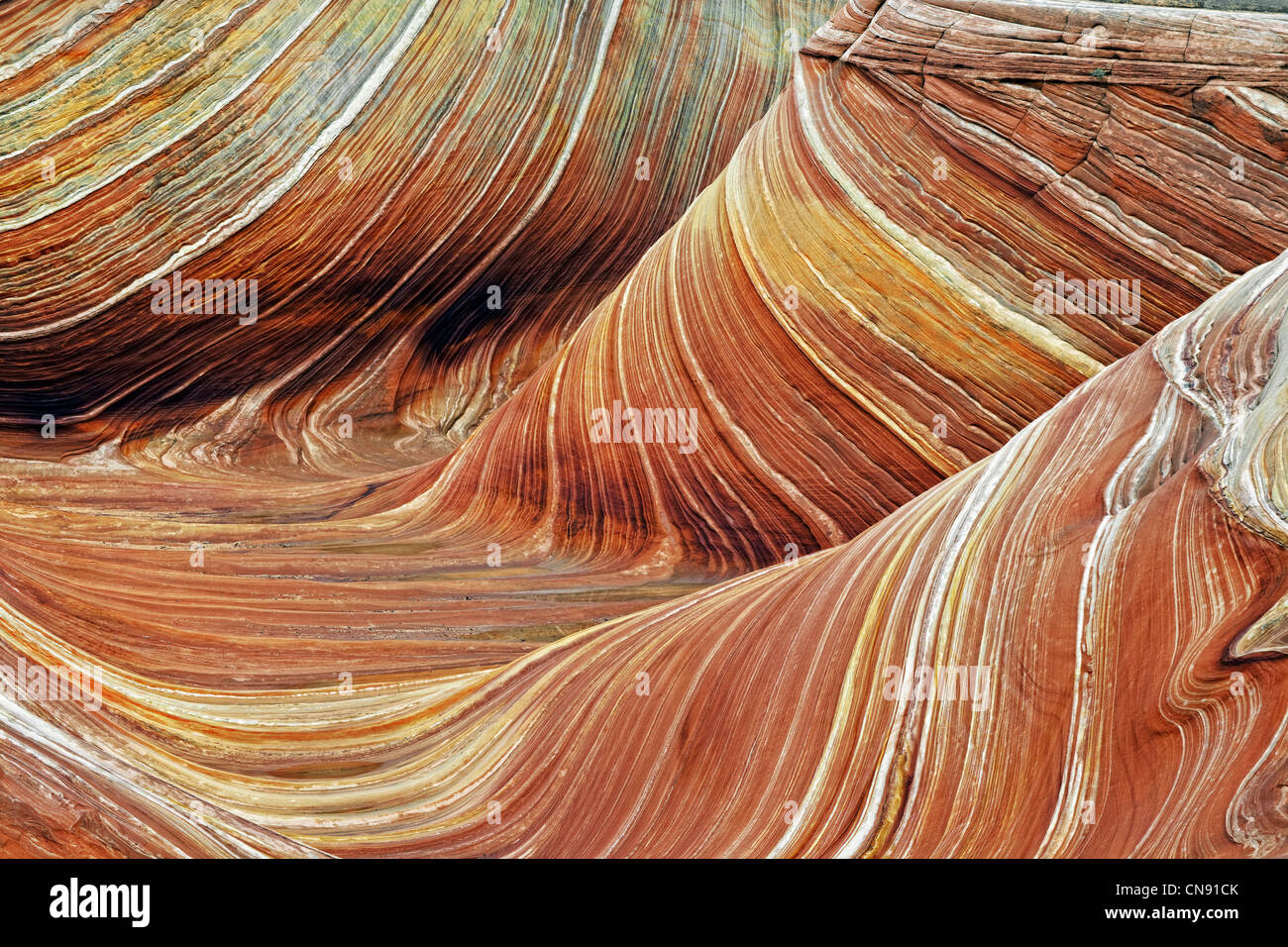 Colores espectaculares de arenisca en patrones ondulados en la ola en el norte de Arizona Coyote Buttes y acantilados Vermillion. Foto de stock