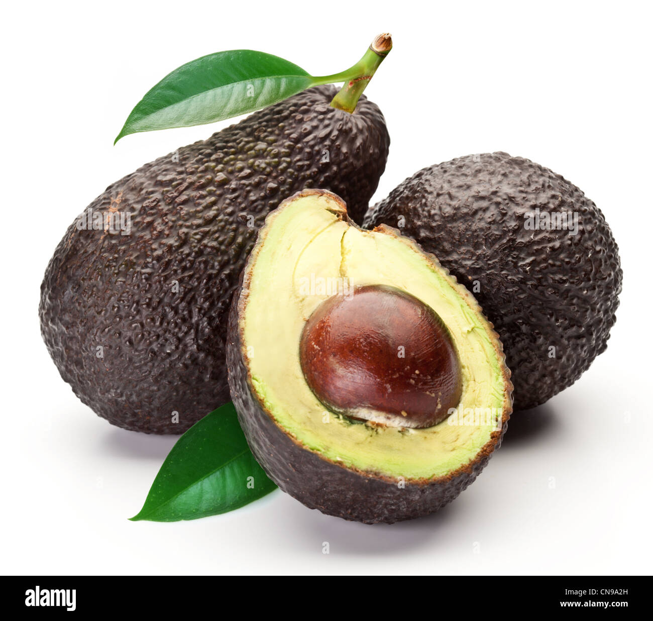 Fondo blanco de aguacate fotografías e imágenes de alta resolución Alamy