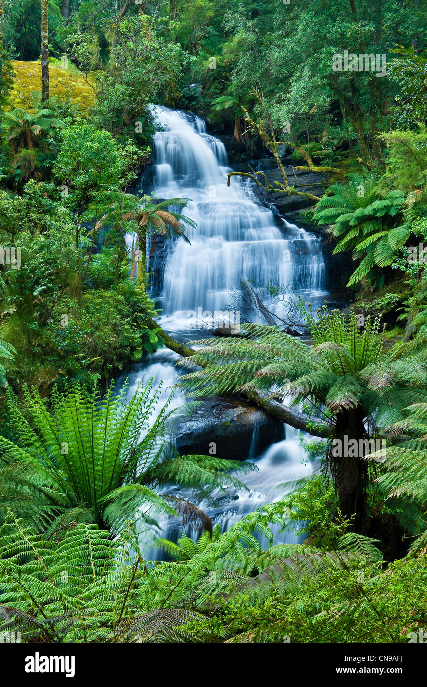 Australia, Victoria, Great Ocean Road, el Parque Nacional Gran Otway, Lavers Hill, Triplet Falls Foto de stock