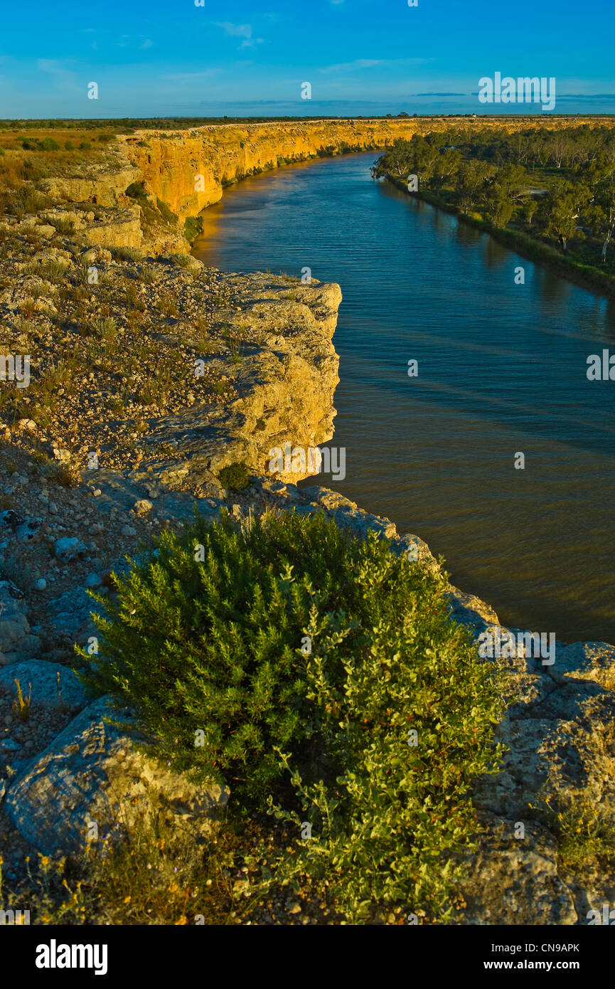 Australia, Australia del Sur, el Río Murray, cerca del Big Bend acantilado Foto de stock