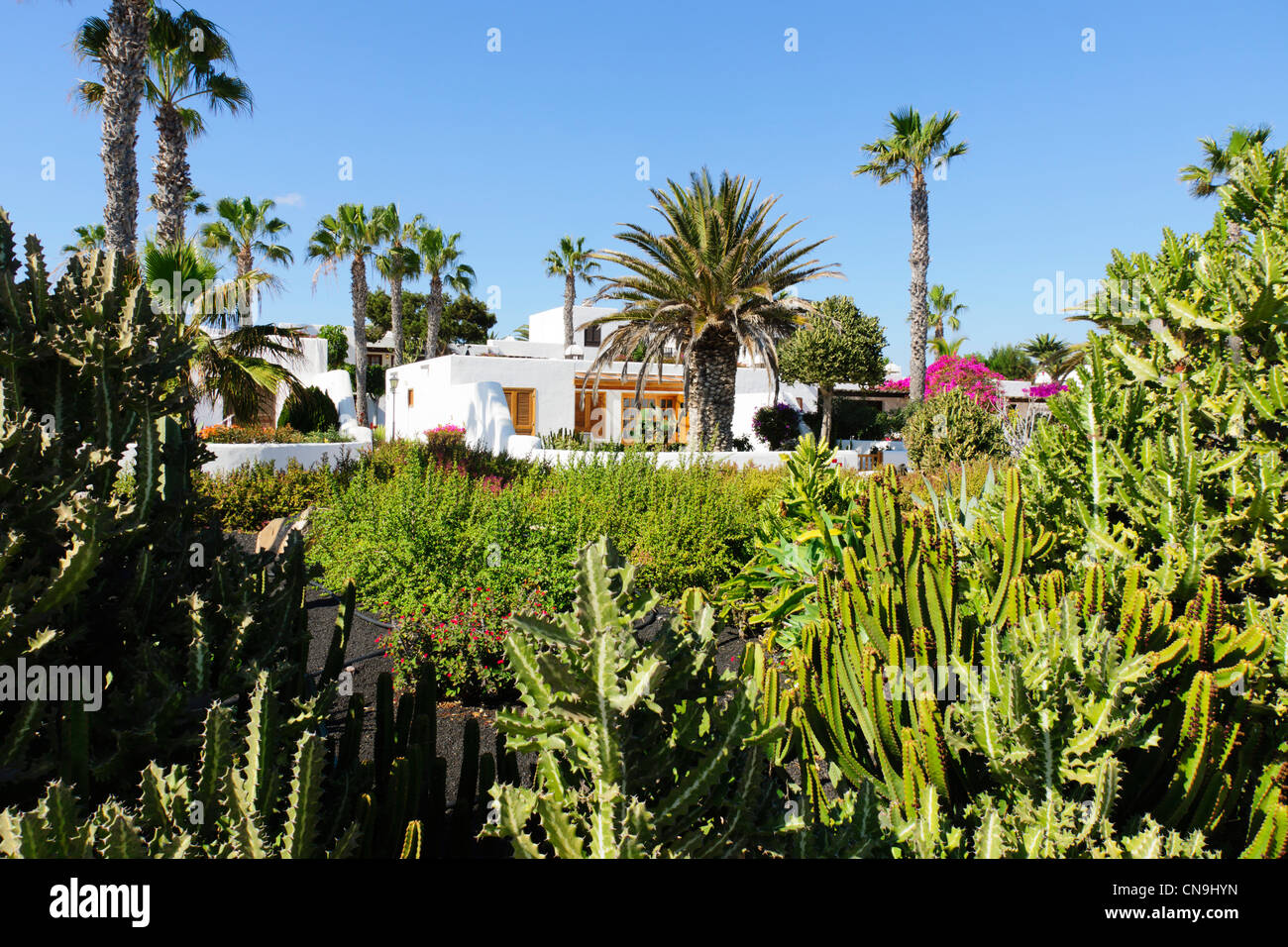 Lanzarote, Islas Canarias - Playa Blanca. Club Puerto Chico Fotografía de  stock - Alamy