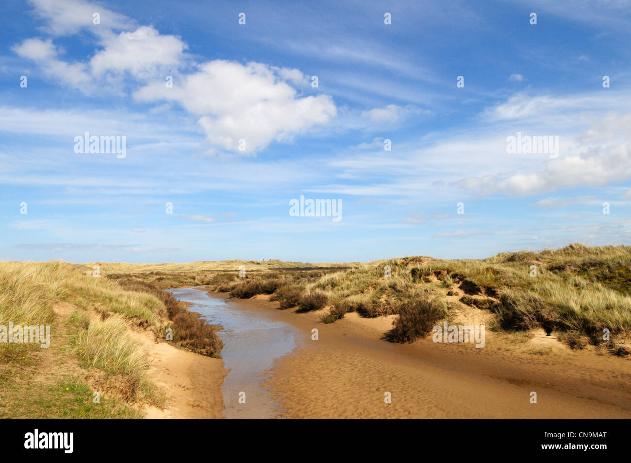 Reserva Natural de las dunas de Holme, Norfolk, Inglaterra, Reino Unido. Foto de stock