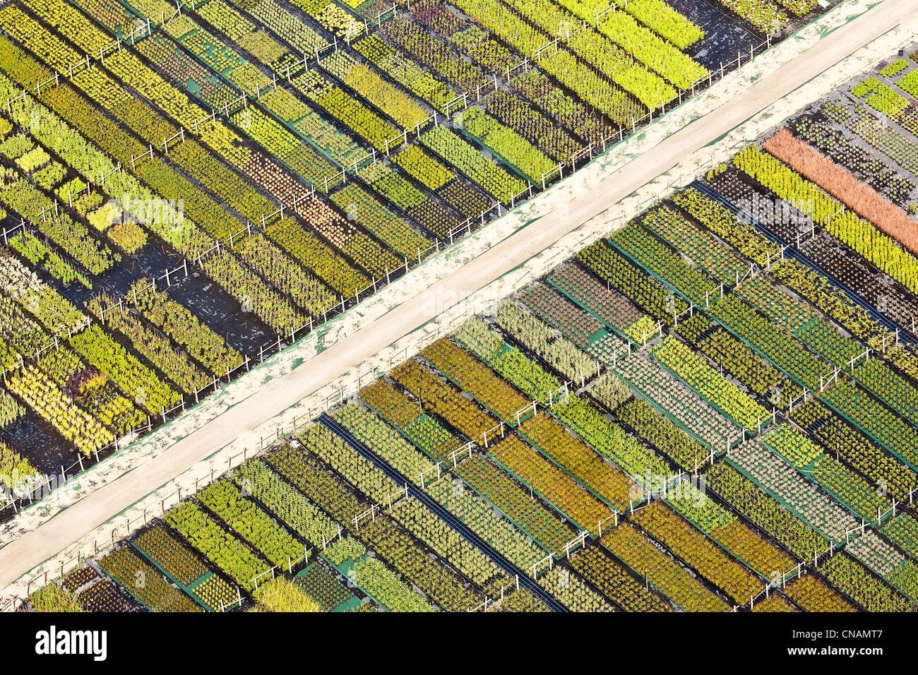 Francia, Loire-Atlantique, Guérande, horticultura (fotografía aérea) Foto de stock