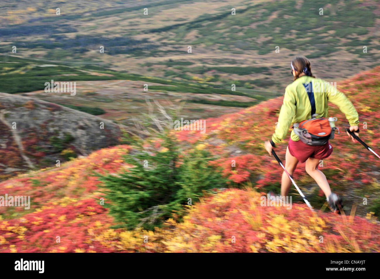 Excursionista femenina sobre Flattop Mountain Trail en Chugach State Park, Anchorage, Alaska, Southcentral Otoño Foto de stock