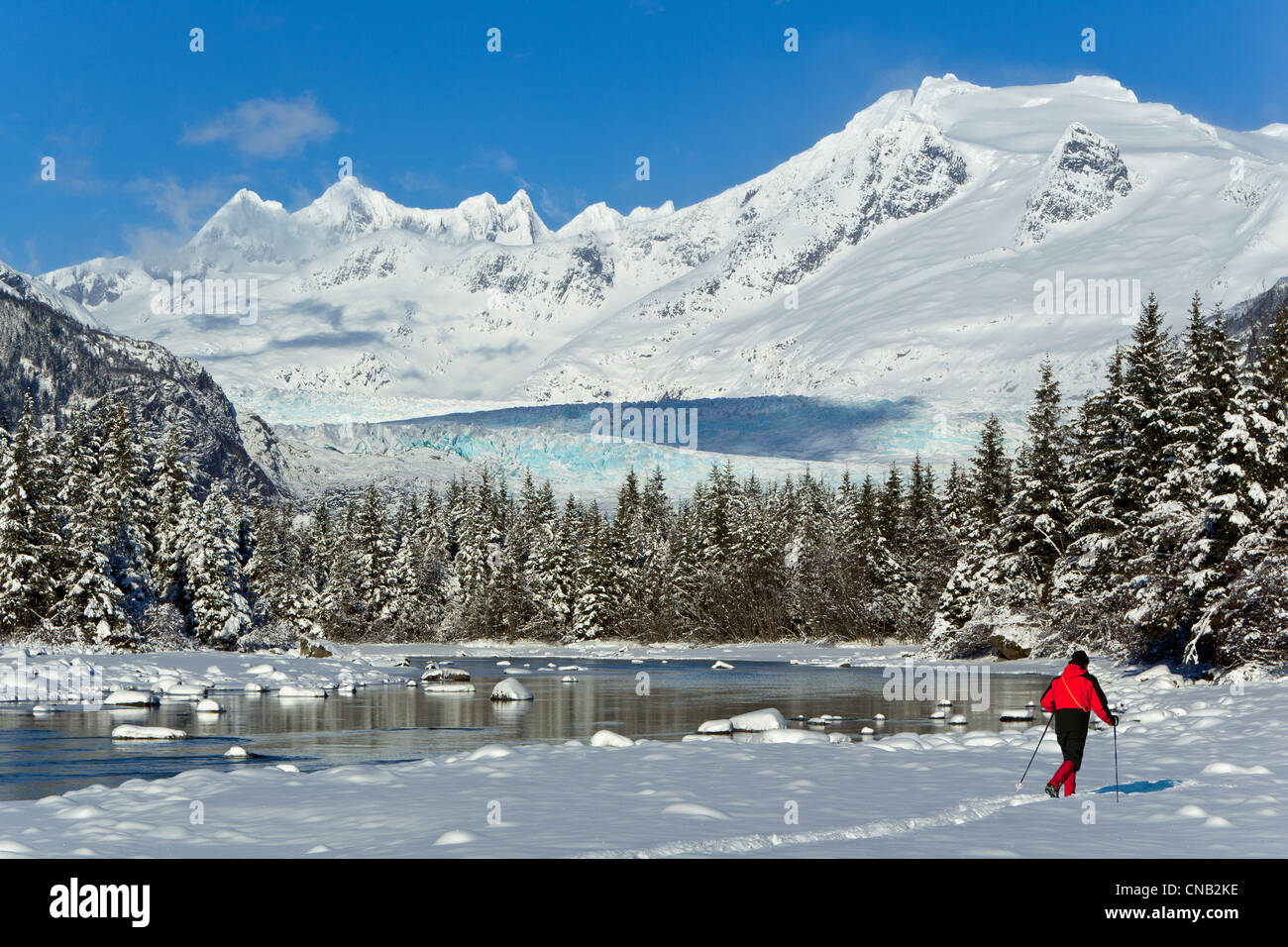 Persona esquí cross-country en un paisaje de invierno en Río, Mendenhall Tongass National Forest, Alaska Foto de stock
