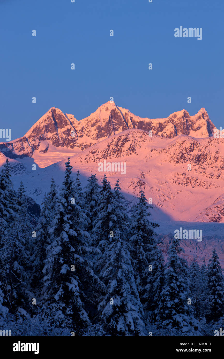 Colores Alpenglow los picos de la costa rango por encima del Glaciar Mendenhall Tongass National Forest, Juneau, Alaska, Invierno Foto de stock