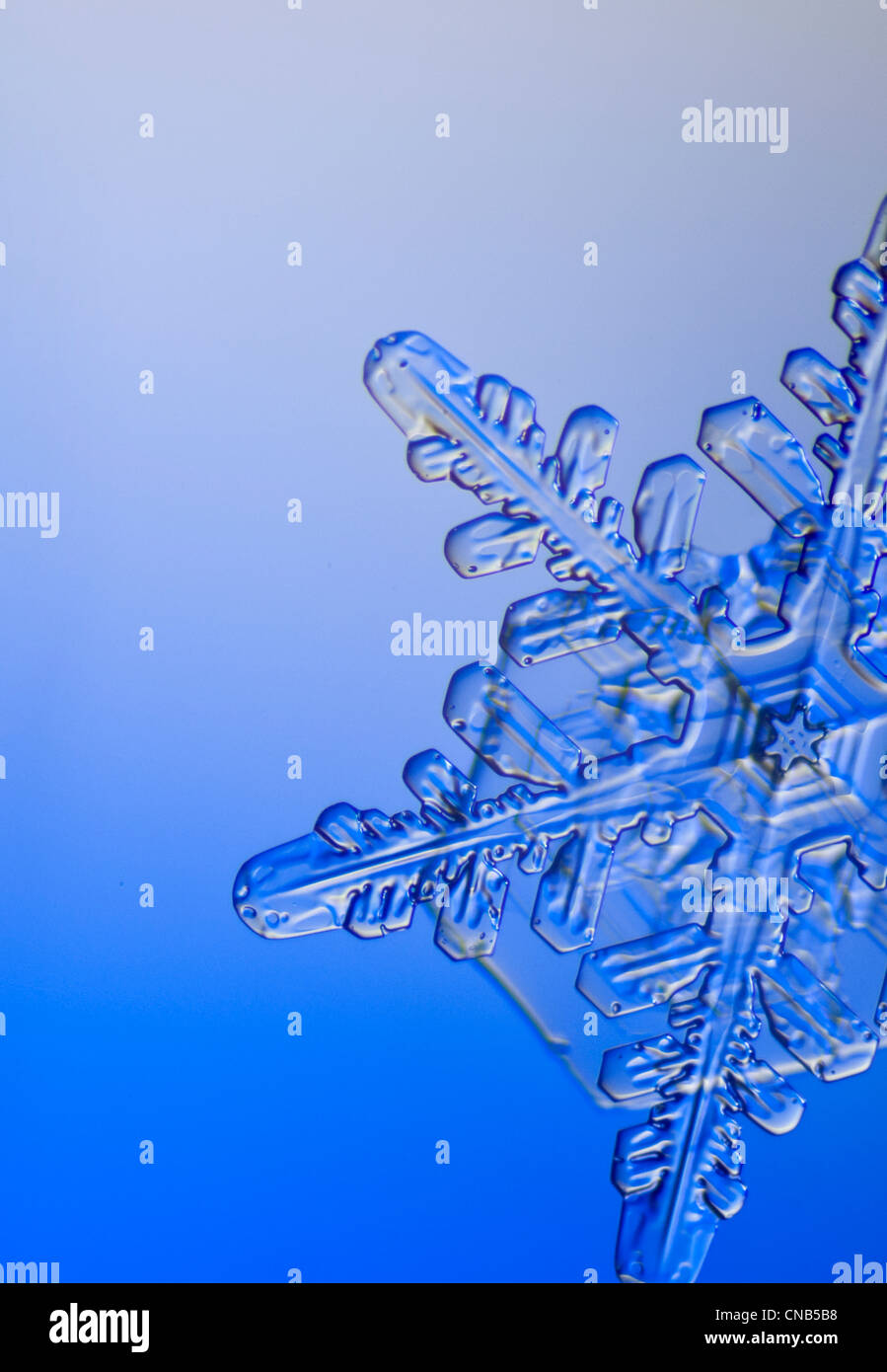 Foto-microscopio vista del centro de un copo de nieve con una forma hexagonal Foto de stock