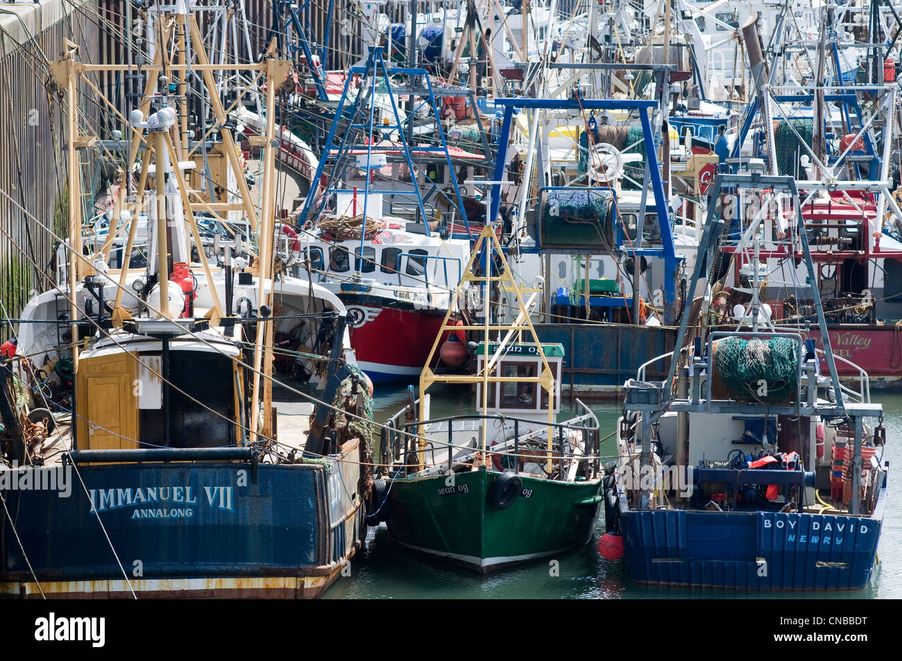 Reino Unido, Irlanda del Norte, Condado de Down, Kilkeel, puerto de Kilkeel alberga la mayor flota de pesca de Irlanda Foto de stock