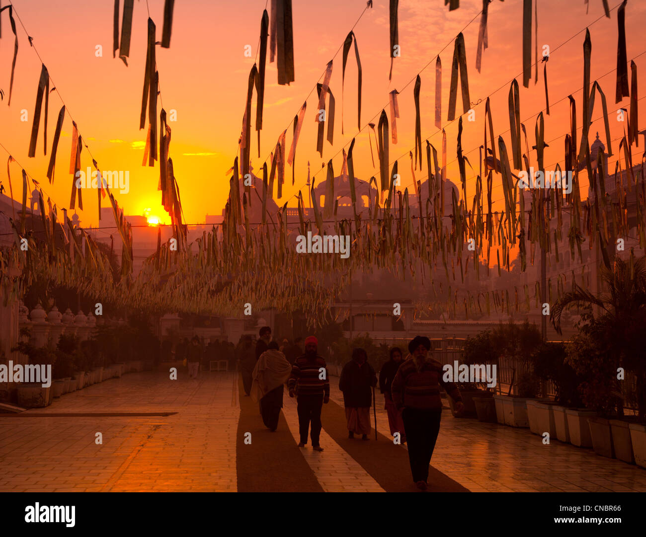 India, Punjab, Templo de Oro de Amritsar, campanillas de viento al amanecer. Foto de stock