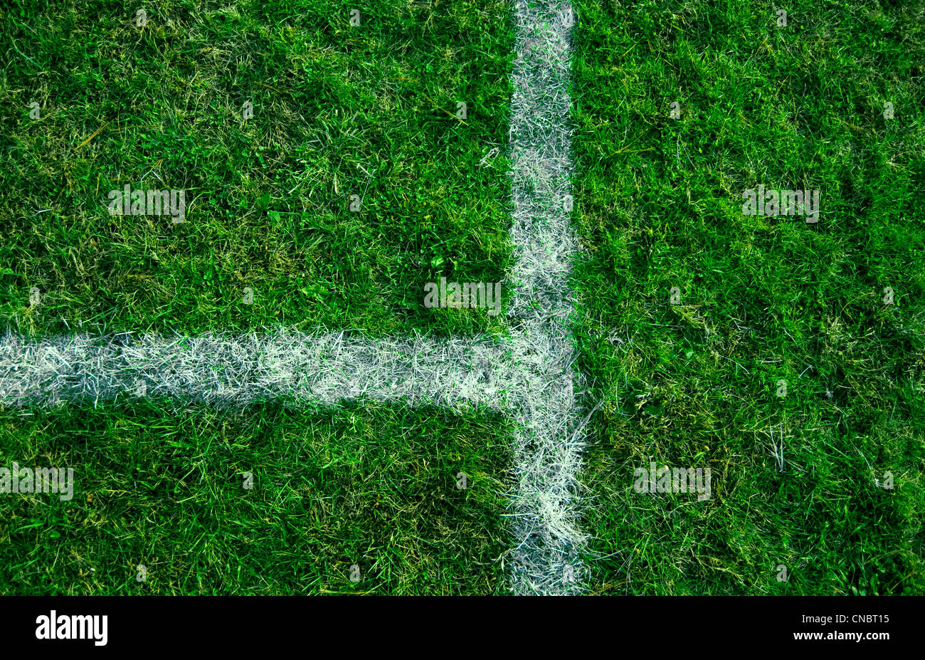 Líneas deportivas pintadas sobre un terreno de juego de hierba verde. Foto de stock