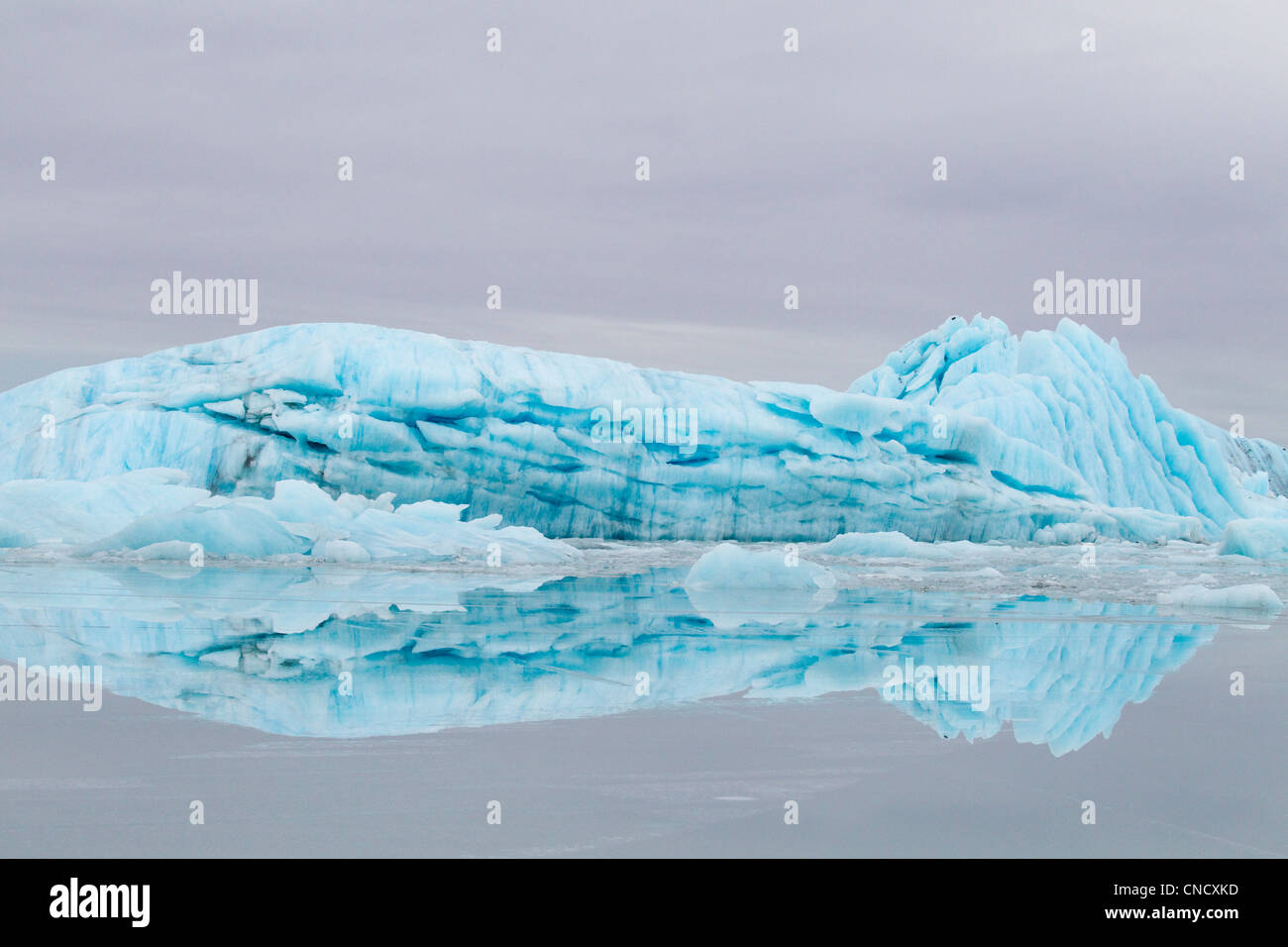 Azul iceberg del glaciar de Sheridan reflexiona sobre una fina película de agua sobre el hielo, montañas Chugach cerca de Cordova, Alaska, Invierno Foto de stock