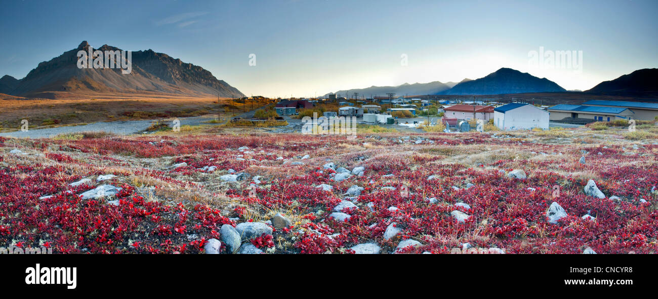 Vista escénica de rojo Gayuba follaje y montañas, Anaktuvuk Pass en puertas del Arctic National Park , Alaska Foto de stock