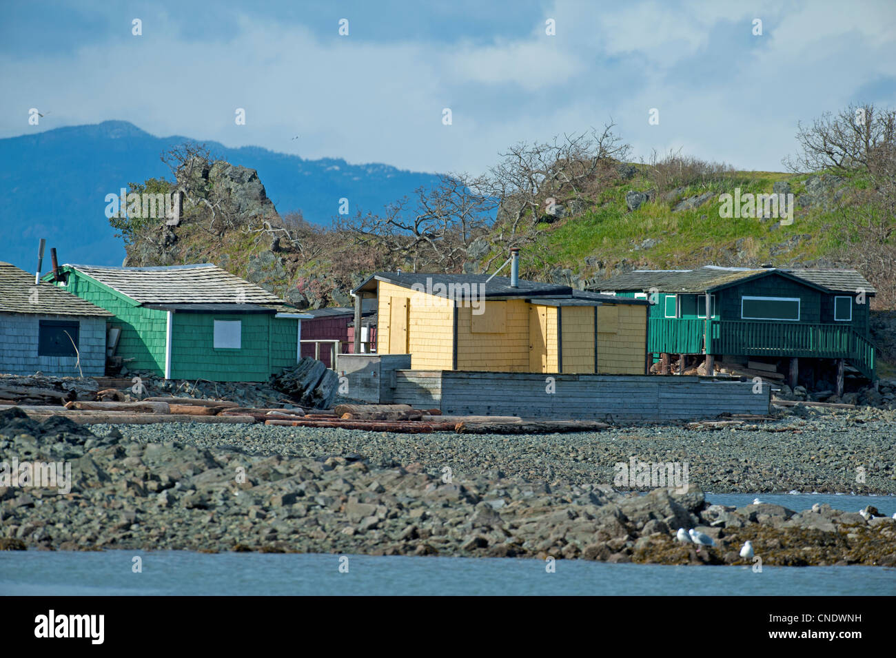 Barraca isla en la Laguna de gaiteros, en Nanaimo, Columbia Británica. La Isla de Vancouver. BC. Canadá. Ocs 8133 Foto de stock