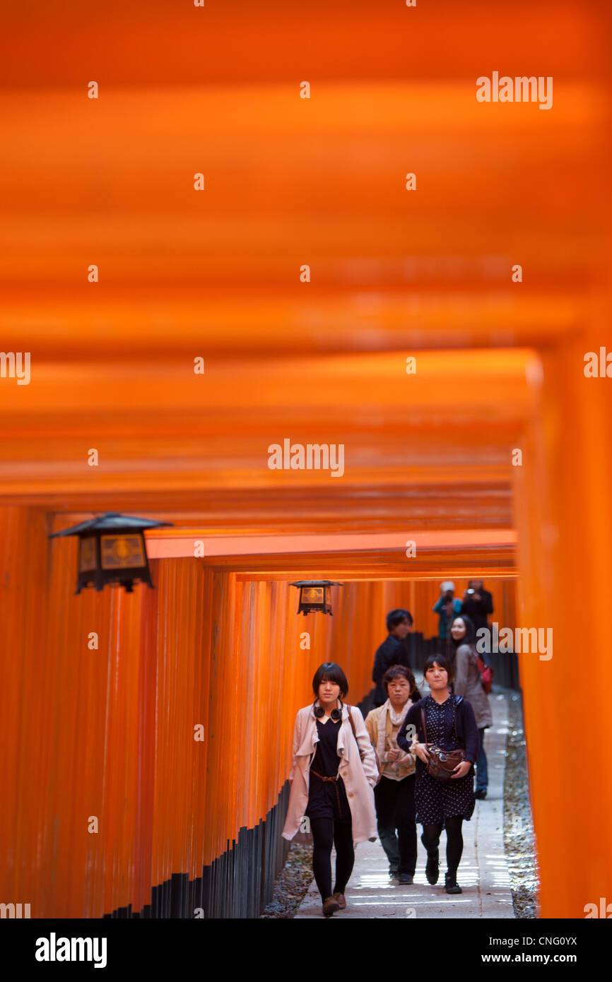 El túnel y la ruta de acceso de red torii puertas que conducen al interior del santuario de Fushimi Inari Taisha Shrine, en Inari, cerca de Kyoto, Japón. Foto de stock
