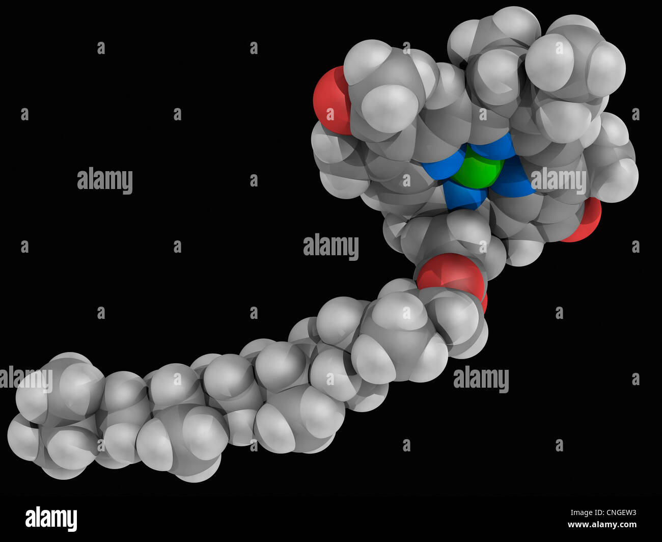 molécula de clorofila b fotografía de stock alamy