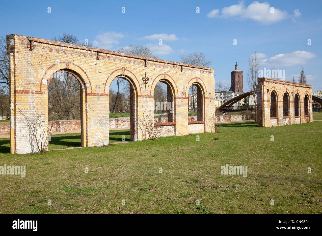 Neisse Terrazas con restos de la antigua fábrica, Gubin, Polonia Foto de stock