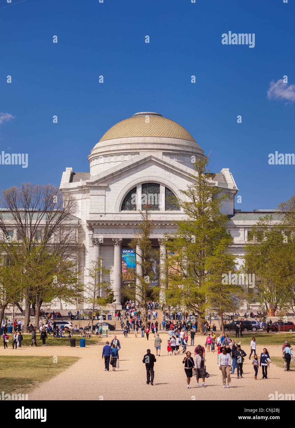 WASHINGTON, DC, Estados Unidos - Museo Smithsonian de Historia Natural. Foto de stock