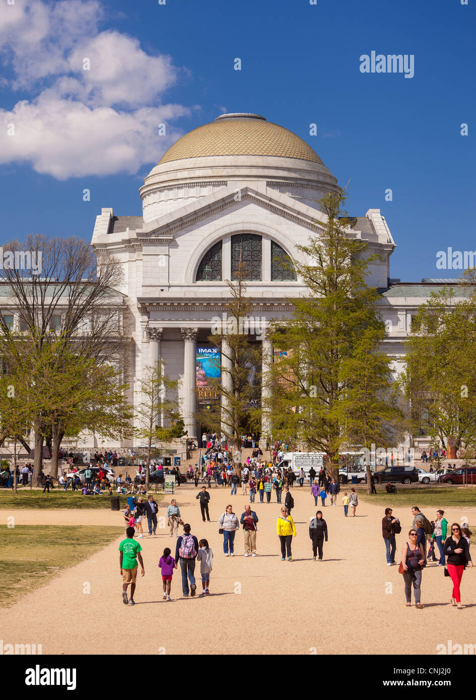 WASHINGTON, DC, Estados Unidos - Museo Smithsonian de Historia Natural. Foto de stock