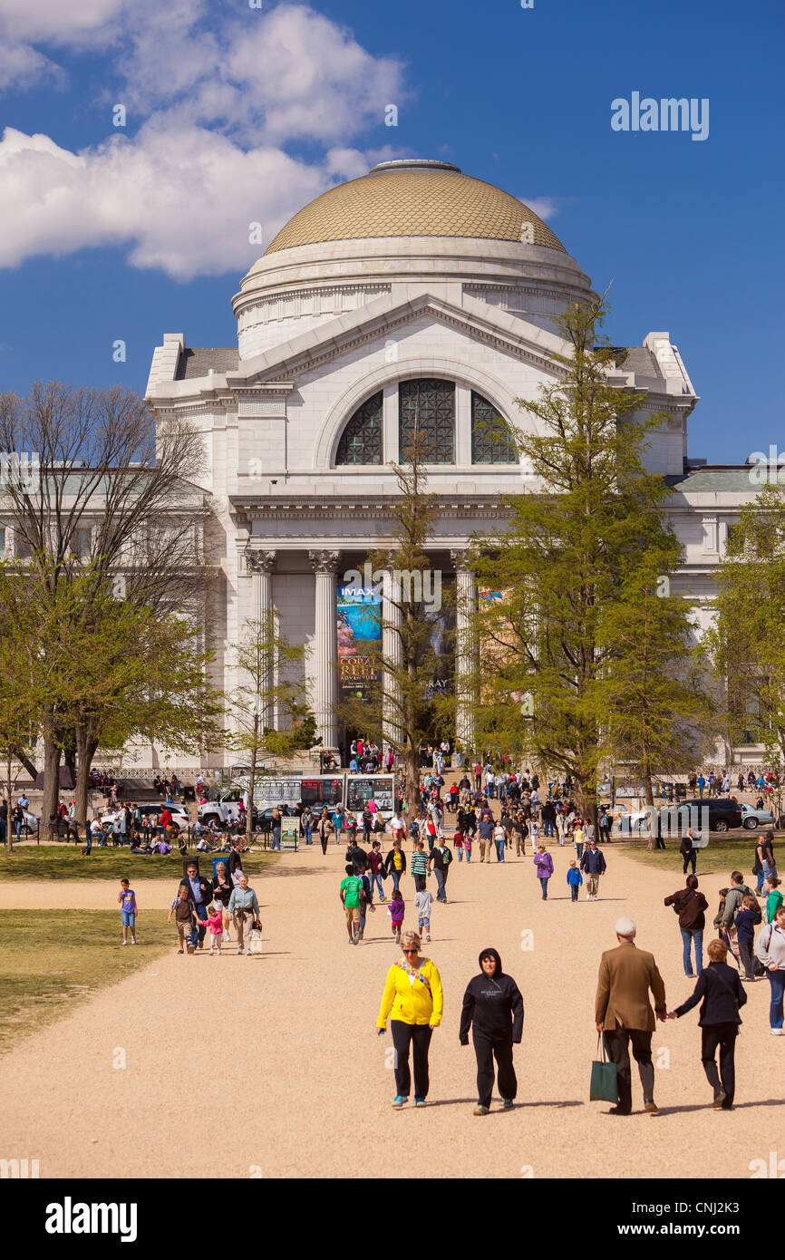 WASHINGTON, DC, Estados Unidos - Museo Smithsonian de Historia Natural. Foto de stock